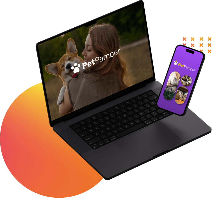 Pet Pamper Haven​ Web and Mobile App Interface