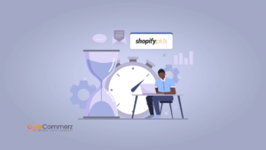 Maximizing Efficiency with Shopify Plus Integration Options