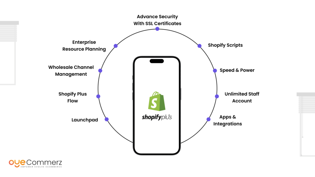 Shopify Flow and Launchpad