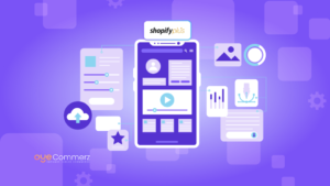 The Importance of UX/UI Design in Shopify Plus