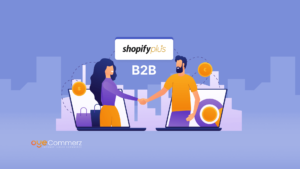 How Shopify Plus Can Cater to B2B E-Commerce Needs