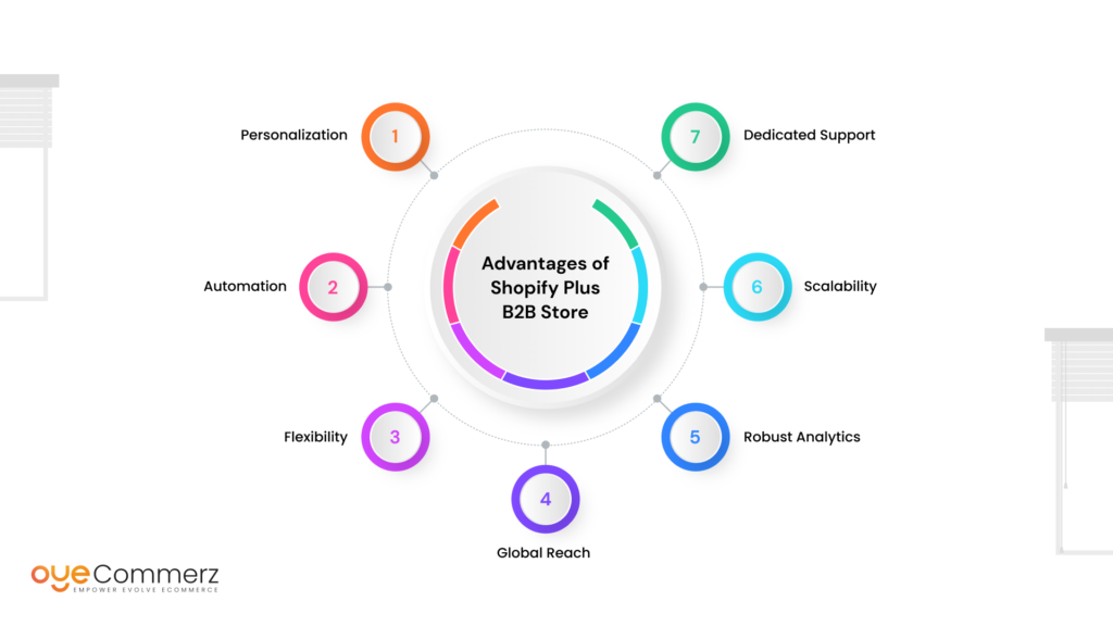 Advantages of Shopify Plus B2B Store