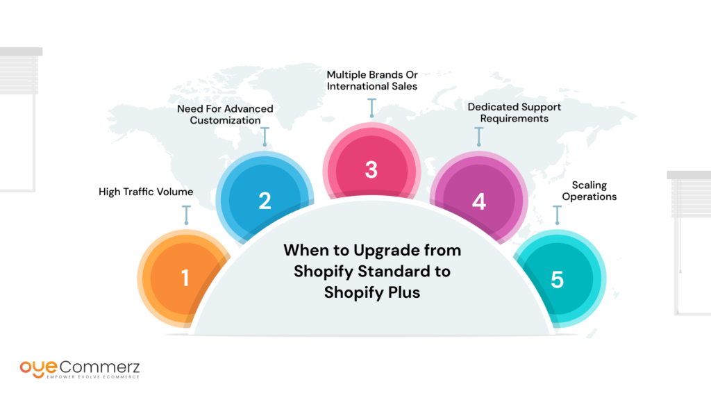 When to Upgrade from Shopify Standard to Shopify Plus