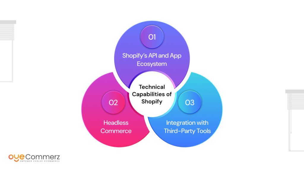 Technical Capabilities of Shopify for Custom E-Commerce