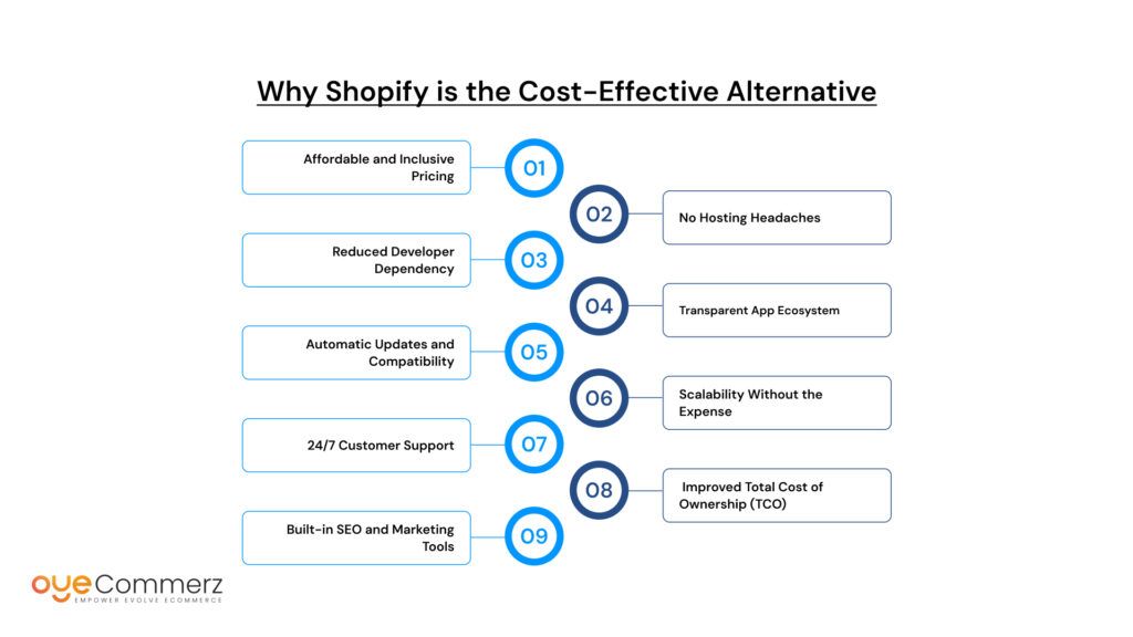 High Maintenance Costs in Shopware 5