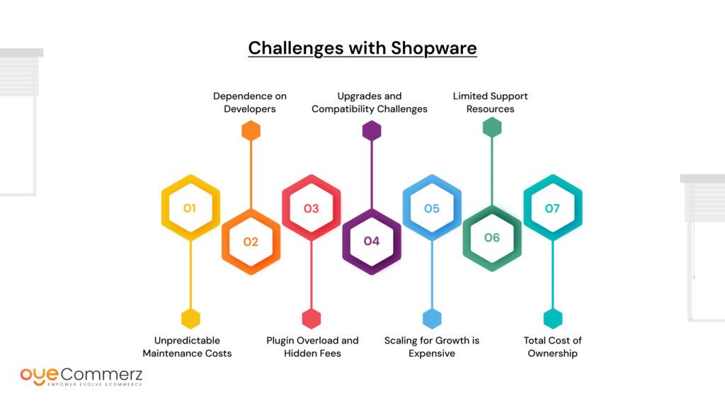 High Maintenance Costs in Shopware 4