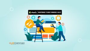 Regular Shopify Maintenance