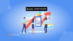 Sales with Custom Shopify App Development
