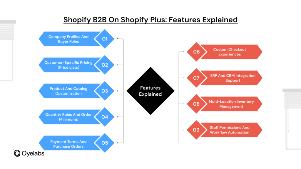 How to Use Shopify B2B on Shopify Plus: Features & Setup