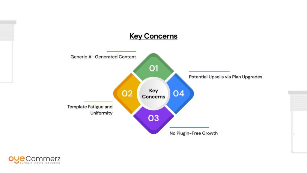 Key Concerns