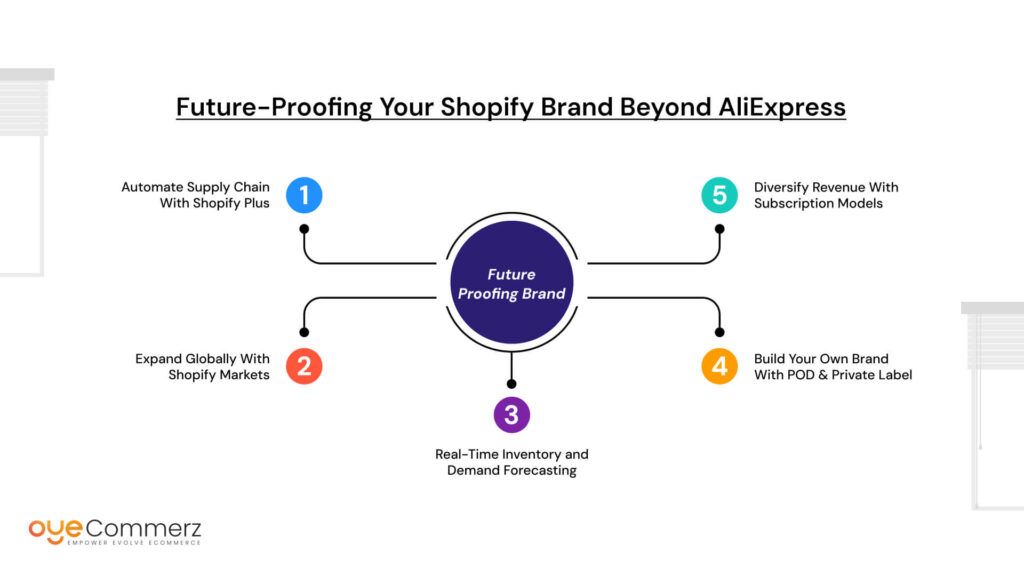 Future-Proofing Your Shopify Brand Beyond AliExpress